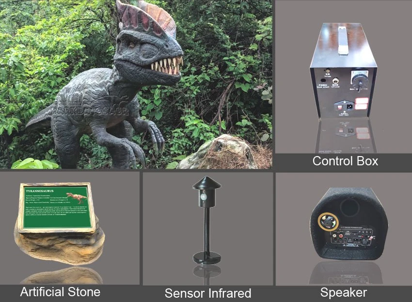 Amusement Park Decoration Animatronic Dinosaurs-F