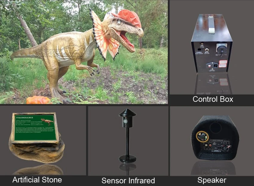 Life Size Dinosaur Models For Park-F