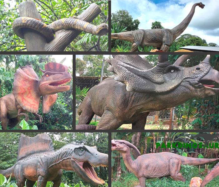 Dinosaur for zoo Dinosaur for zoo