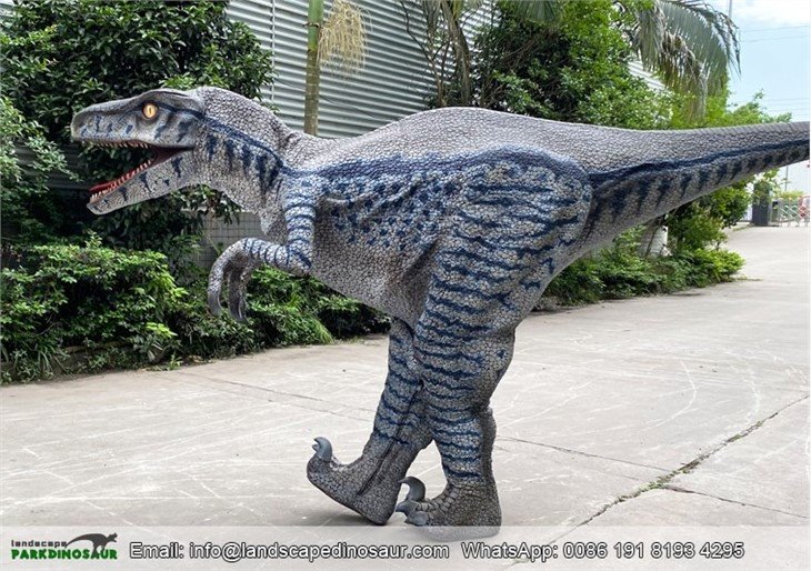 Popular Animatronic Velociraptor Costume For Party-002